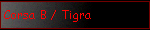 Corsa B / Tigra